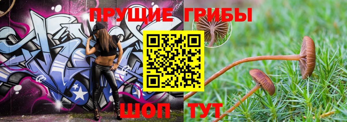 Псилоцибиновые грибы MAGIC MUSHROOMS  Галлюциногенные грибы Magic Shrooms  Вход с VPN  Карачаевск 